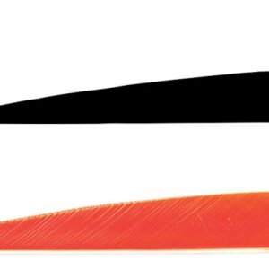 Naturfeder 4'' - Shield