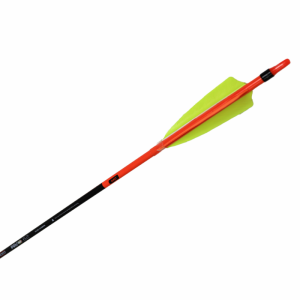 Shocq Pavo 6.2